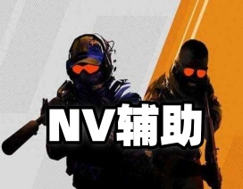 CS2【NV】辅助(内部科技)